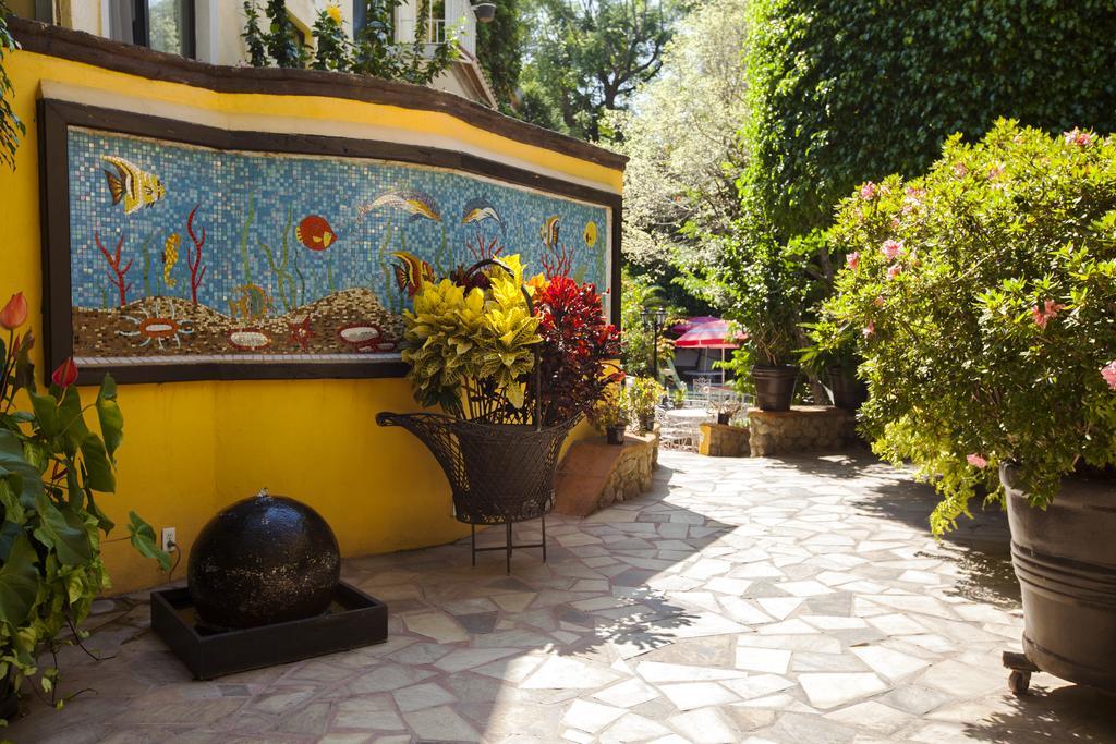 Quinta Del Gobernador Otel Cuernavaca Dış mekan fotoğraf