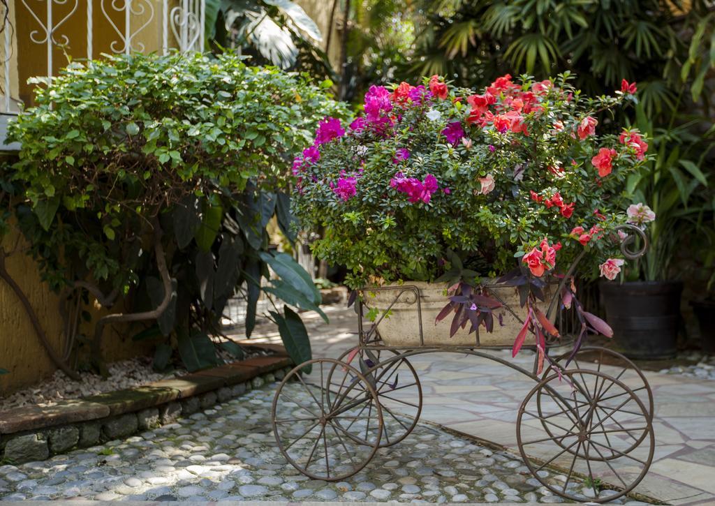 Quinta Del Gobernador Otel Cuernavaca Dış mekan fotoğraf